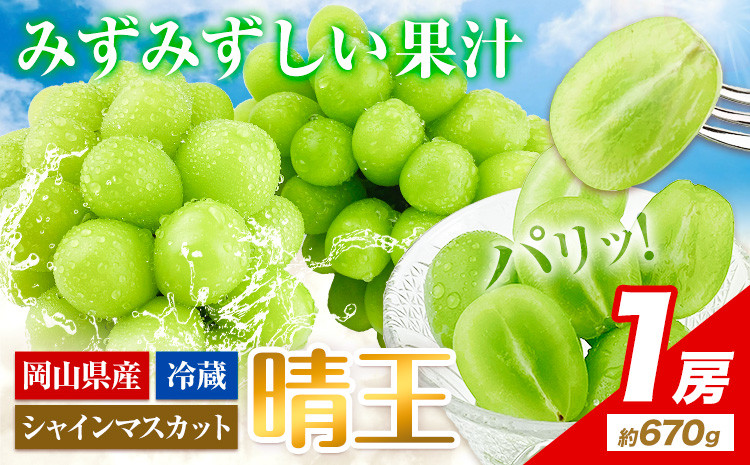 
                  シャインマスカット 岡山県産【2026年先行予約】 シャインマスカット 晴王 1房(約670g)《2026年9月上旬-10月末頃出荷(土日祝除く)》ハレノフルーツ マスカット 送料無料 岡山県 浅口市 フルーツ 果物 贈り物 ギフト 国産 岡山県産 くだもの 青果物 【配送不可地域あり】
                