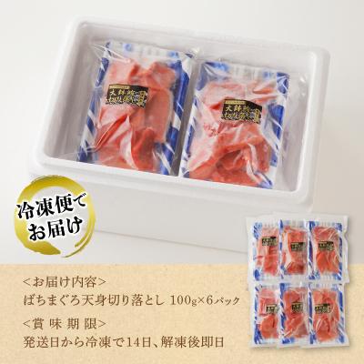ふるさと納税 焼津市 まぐろ天身切り落とし(100g×6パック)(a10-922) |  | 02