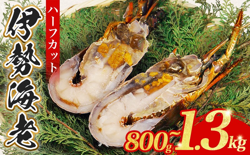 
            （冷凍） 簡単調理 伊勢海老 800g~1.3kg 選べる容量 ハーフカット 処理済み イセエビ 海老 えび 伊勢 エビ 伊勢エビ 海宝水産 贅沢 高級 簡単調理 バーベキュー BBQ 鉄板焼 海鮮 ギフト 国産 三重県 南伊勢町
          