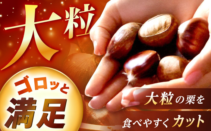 冷凍むき栗「日本栗」 カット500g（250g×2P）/ 栗 冷凍 生栗 くり むき栗 マロン 低温熟成 日本栗 国産 和栗 岐阜県産 恵那市産 産地直送 送料無料 お取り寄せ ギフト 贈答 / 恵那