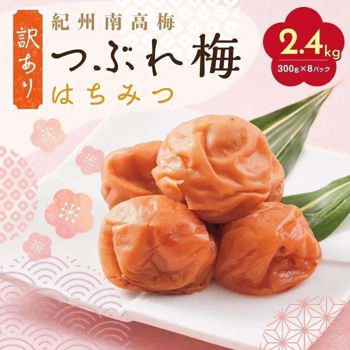 【定期便2回 2ヶ月に1回】 紀州南高梅 訳あり はちみつ梅 塩分5％ 2.4kg（300g×8パック)
