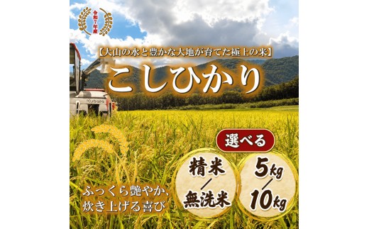 
                  ＜選べる＞＜令和7年産＞山崎農園のこしひかり(精米/無洗米・5～10kg) 【鳥取県 境港市】
                