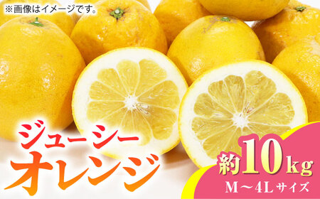 【先行予約】ジューシー オレンジ 約10kg 果物オレンジ柑橘ZBG012