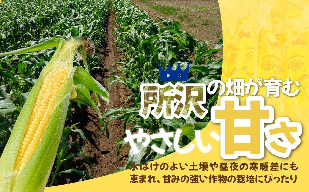 とうもろこし トウモロコシ コーン 野菜 やさい ヤサイ 夏野菜 玉蜀黍 朝採れ 朝どれ  バーベキュー BBQ 旬 新鮮