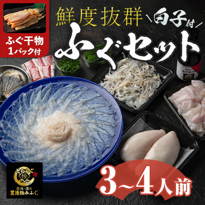 【ふるさと納税】＜着日指定必須＞ 【ふぐ干物1パック付】白子付き とらふぐ セット (3-4人前) 冷蔵 とらふぐ ふぐ ふぐ刺し ふぐ刺身 刺身 ふぐ鍋 白子 皮 ひれ 唐揚げ ヒレ酒 お取り寄せ 鮮魚 養殖 国産 数量限定 大分県 佐伯市【DK03-G】【エイコー水産】