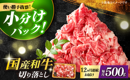 【全12回定期便】博多和牛切り落とし500g 牛肉 肉 [ABBP044]