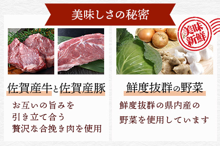 　佐賀産牛・佐賀産豚の手作りギョーザ　５パック B-86