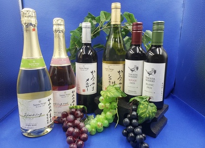 かみのやまワイン詰め合わせ　６本セット　0141-2412