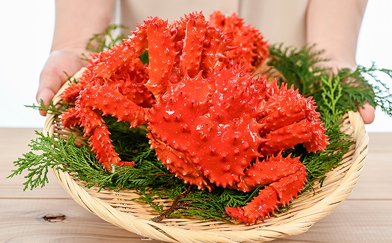 【北海道根室産】花咲がに500g前後×2尾セット B-80004