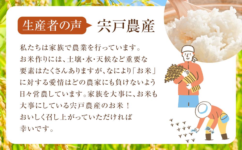 【先行受付】【4回定期便】北海道八雲町熊石産 ゆめぴりか(精白米) 10kg(5kg×2袋)　(令和6年産)