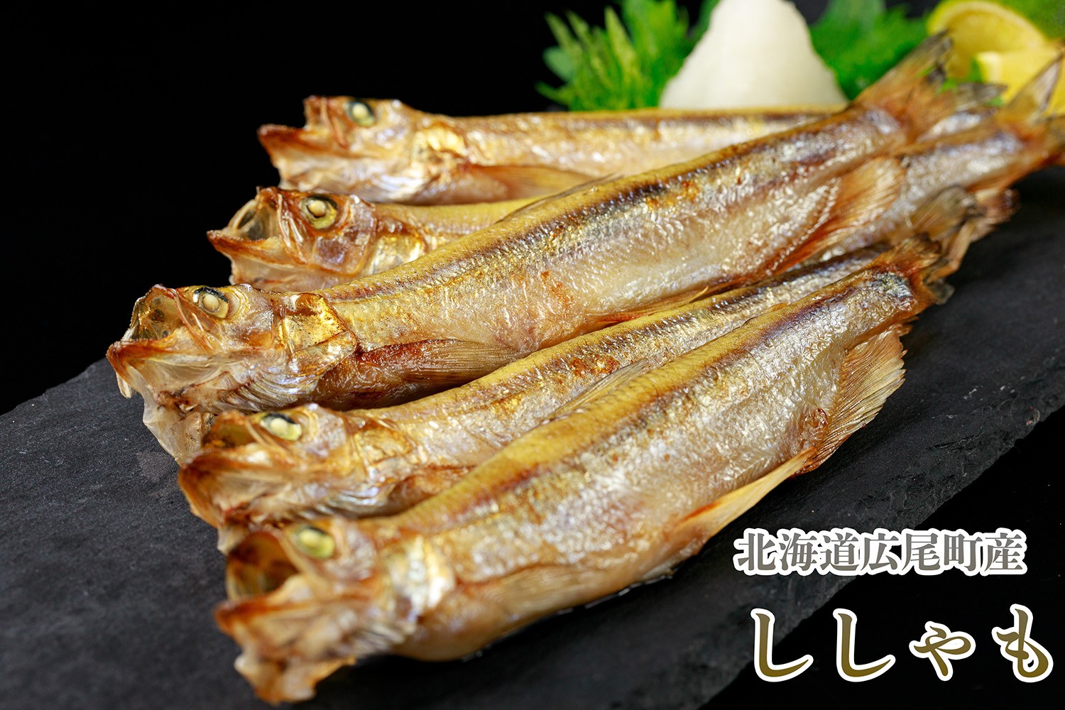 
                  岡嶋水産　生乾しししゃも中オス40尾(C0040)
                