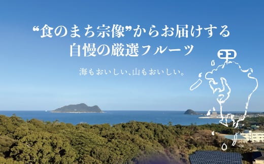 ※写真は梱包のイメージです。