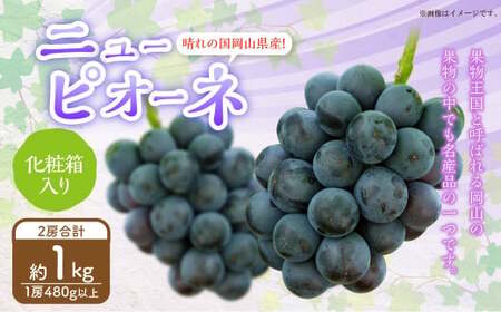 岡山県産 ニューピオーネ 2房 （1房480g以上） 約1kg 化粧箱入り 【2026年8月下旬～10月上旬迄発送予定】 果物 くだもの フルーツ ぶどう ブドウ 葡萄 岡山 おかやま 国産 冷蔵