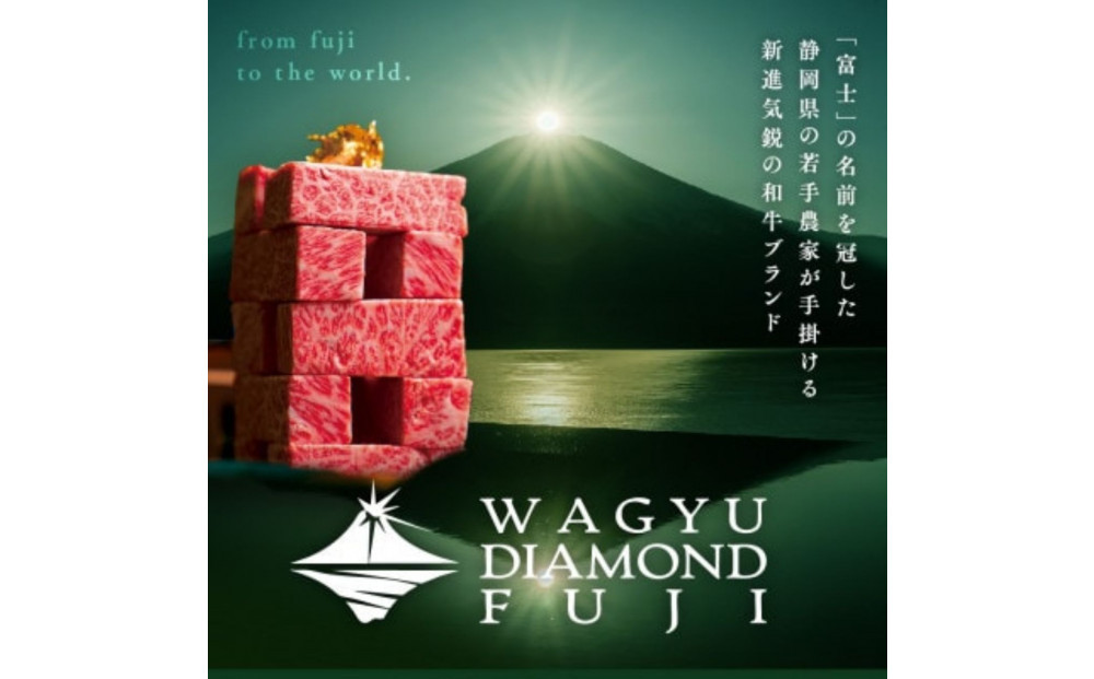 龍馬1865＋WAGYU DIAMOND FUJI サーロインステーキ300g×3・モモ(赤身)ステーキ300g×３【配送不可：沖縄県・離島】