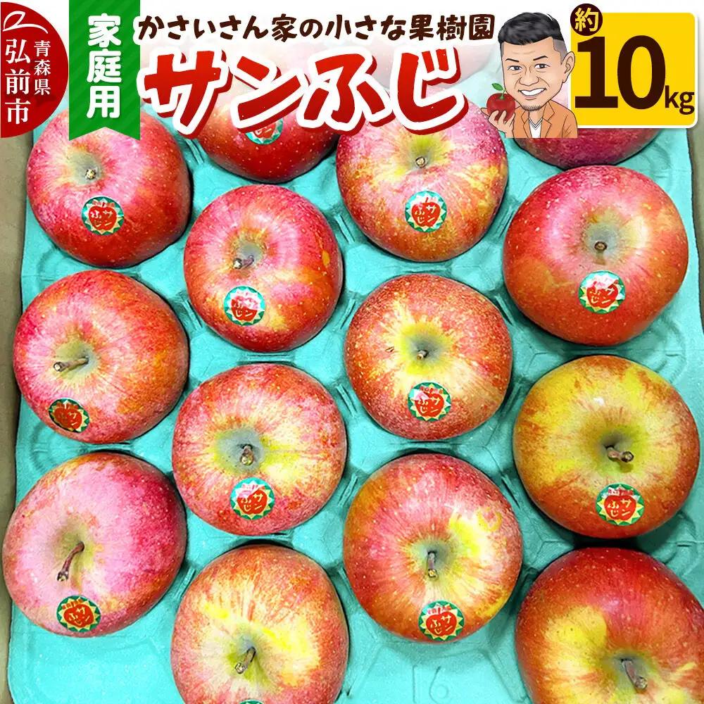 りんご サンふじ 約10kg 家庭用【12月～発送】りんご