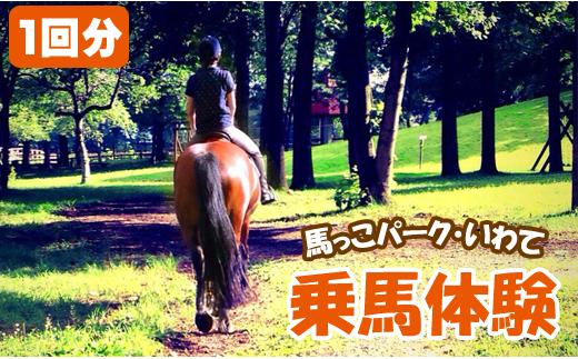乗馬体験 1回分 チケット 【馬っこパーク・いわて】／ ふれあい 乗馬 体験 馬 ホース ホースセラピー 動物 アニマル アニマルセラピー セラピー 癒し 体験チケット 観光 遊び あそび お出掛け お出かけ おでかけ アクティビティ 子供 子ども こども 大人 おとな おすすめ