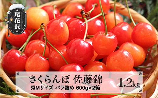 先行予約 さくらんぼ 佐藤錦 秀Mサイズ 1.2kg(600g×2箱) バラ詰め 令和7年産 2025年産 山形県産 ns-snsmb1200