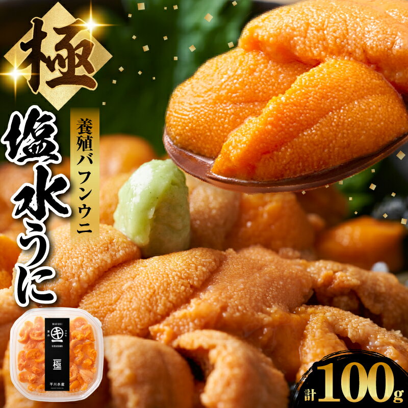 【ふるさと納税】浜中産 養殖 エゾバフンウニ 塩水パック 100g 数量限定 生うに 新鮮 海鮮 魚介類 海の幸 海産物 うに丼 パスタ 寿司 軍艦巻き 手巻き おかず おつまみ お取り寄せ グルメ ご褒美 贅沢 食品 冷蔵 北海道 浜中町 送料無料