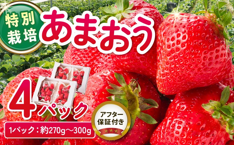 【11月中旬より発送開始】特別栽培 あまおう 300g×4パック 計1.2kg ふくおかエコ農産物)