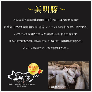 【6ヶ月定期便】【常陸牛 A5ランク・美明豚すきしゃぶセット】常陸牛肩ロースすき焼き用180ｇ＋美明豚しゃぶしゃぶ用200ｇ（ロース100ｇ・ばら100ｇ）【冷凍 国産牛 和牛 牛肉 豚肉　ブランド豚