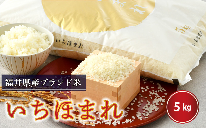 
                  【令和7年産】 さんさん池見二代目がお届けする 福井県産いちほまれ 5kg [B-0219]
                