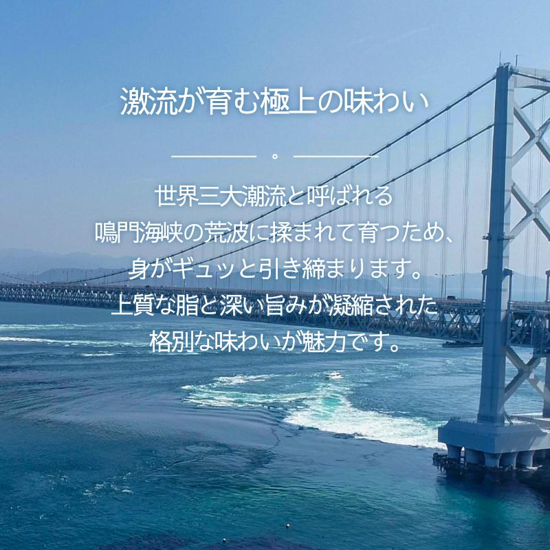 干物 詰め合わせ 4種以上 18枚 魚 干物 干し物 セット 干物セット 鯛 鳴門鯛 天然 天然鯛 アジ 鯵 サバ 鯖 カマス 一夜干し 冷凍 海鮮 おつまみ 鳴門 徳島 ギフト 晩ごはん 贈り物 ふ