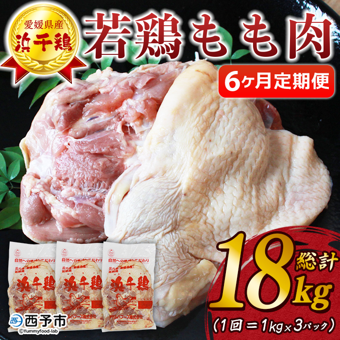 ＜【6ヶ月定期便】銘柄鶏 浜千鶏 愛媛県産 若鶏もも肉 3kg（1kg×3）＞ 国産 鶏肉 鳥肉 とり チキン モモ肉 はまちどり ブロック 精肉 にく 料理 アレンジ 夕飯 夕食 お弁当 昼食 唐揚