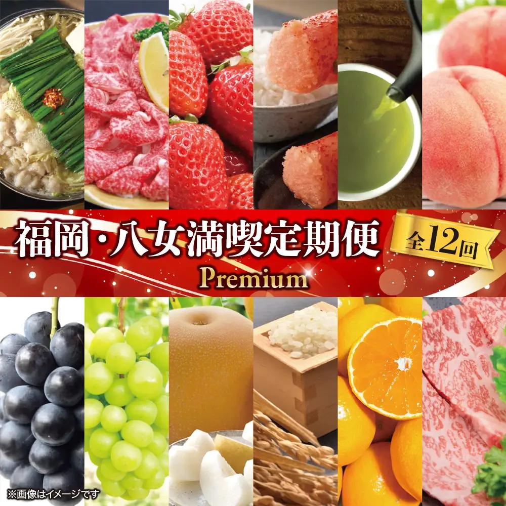 福岡・八女満喫定期便 プレミアム全12回 A ＜配送不可：北海道・沖縄・離島＞ フルーツ 定期便 福岡県 八女市 072-T050