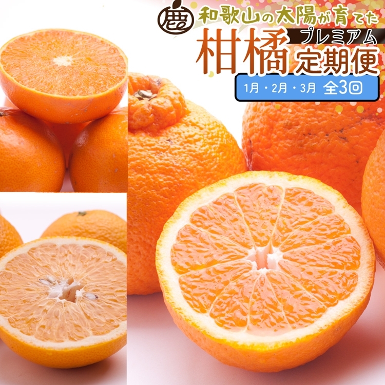 
            【定期便】厳選 柑橘定期便 M 3回（1～3月）※北海道・沖縄・離島への配送不可※1月・2月・3月に発送
          