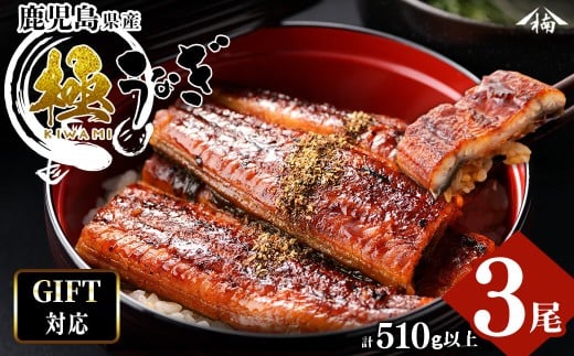 【母の日】【ギフト対応】楠田の極うなぎ　蒲焼き170ｇ以上×3尾(計510ｇ以上） b2-018-mm