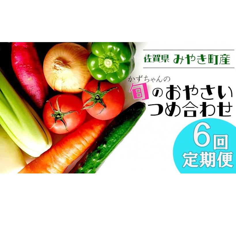 CC004_【6回定期便】かずちゃんの朝採り新鮮野菜セット毎月　合計6回お届け みやき町産