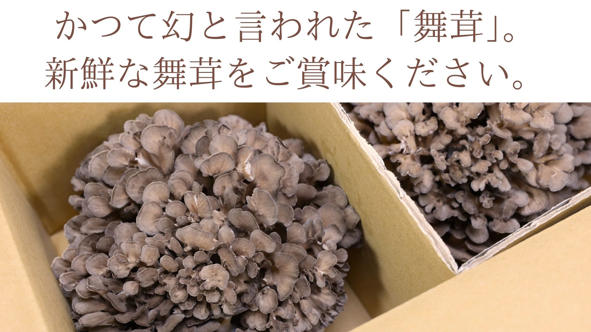 約800グラムのお届けとなりますので、使いきれなかった分は小分けにして冷凍保存（約1カ月保存）してください。