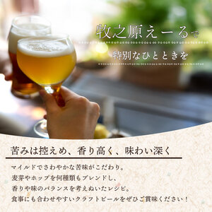 ジャパン グレートビア アワーズ 2025 受賞 ｜ 牧之原えーる おまかせ ６本 セット   クラフトビール  