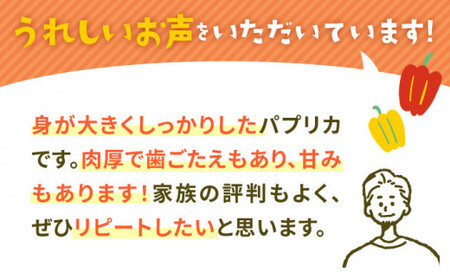 【全6回定期便】【肉厚＆ジューシー】五島のパプリカ 計18個 五島市/HPIファーム [PCP005]