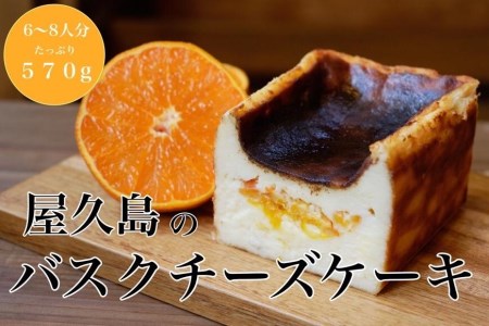 屋久島の手作りバスクチーズケーキ （たんかん） | バスクチーズケーキ バスクチーズケーキ バスクチーズケーキ バスクチーズケーキ バスクチーズケーキ