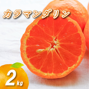 【4月中旬より発送】カラマンダリン 2kg | 数量選択可 みかん ミカン 蜜柑 柑橘 数量限定 愛媛県産 松山市 中島 低農薬 愛媛 ふるさと納税【NO0361】