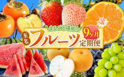 【 定期便 9回 】 まるごと 堪能 ！ 人気 フルーツ  | 果物 くだもの フルーツ みかん 赤いちご 白いちご 不知火 スイカ メロン 黒ぶどう シャインマスカット 太秋柿 定期便 9回 熊本県 玉名市