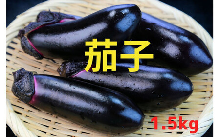 農家直送！ 茄子1.5kg(9本前後) 黒福 なす 茄子