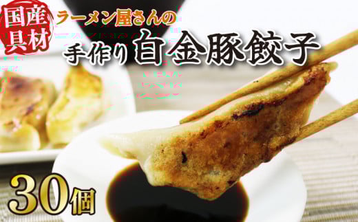 餃子 30個 6個×5パック 白金豚 ブランド豚 簡単調理 ご飯のお供 惣菜 お弁当 冷凍食品 簡単 小分け 手造り てづくり 黒船 岩手県 三陸 大船渡市