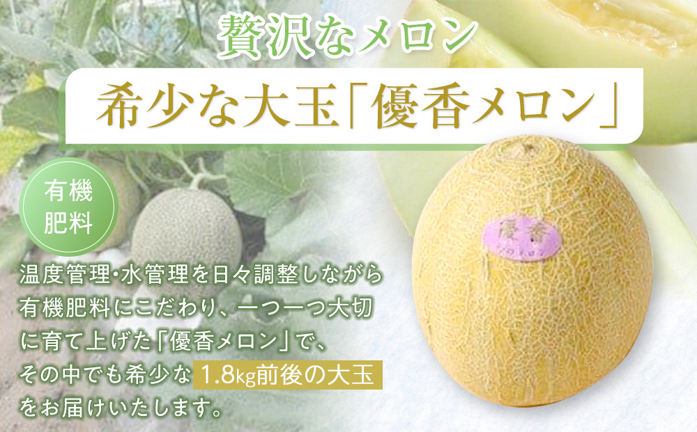 786.【先行予約】幻の「優香メロン」うれしい！3~4玉入 　※2025年６月下旬より順次発送予定