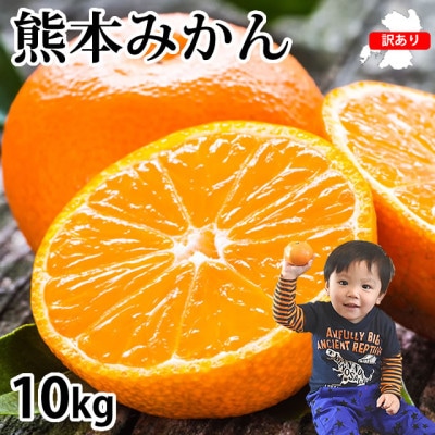 訳あり みかん 計10kg【2025年10月上旬から2026年2月下旬発送予定】(宇城市)【配送不可地域：離島】【1614589】