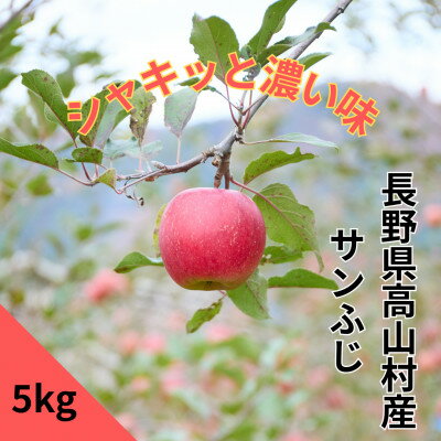 【ふるさと納税】【完熟】サンふじ家庭用りんご 5kg【長野県高山村産】【1698338】