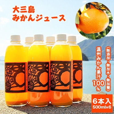 【B31】ホリ田ヤ　島みかんジュース 　500ml×6本【1003441】