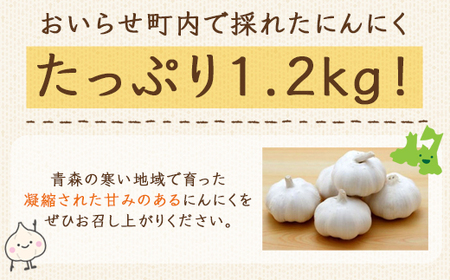 青森県おいらせ町産にんにくたっぷり1.2kg 【 ふるさと納税 人気 おすすめ ランキング おいらせ町産 にんにく たっぷり 1.2kg ニンニク 乾燥 普段使い 甘さ 凝縮 青森県 おいらせ町 送料