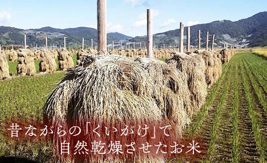 【わら屋のお米】 令和7年産 特別栽培米 はえぬき 5kg 『お