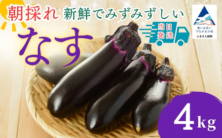 なす 4kg(40個以上) なす ナス 茄子 野菜 | 石川県 小松市 JAあぐり