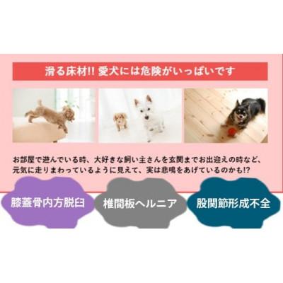 ふるさと納税 秦野市 【ペット用】簡単!滑り止め床用コーティング剤セット(500ml+オールワックスワイパーEX) |  | 02