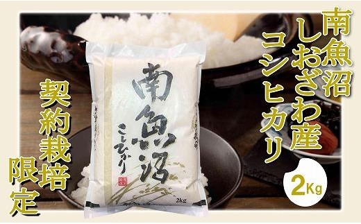 【令和8年産　新米予約】【※精米2Kg】契約栽培限定 南魚沼しおざわ産コシヒカリ【銘柄米 ブランド米 精米 こしひかり コシヒカリ 魚沼産 新潟米 産地直送 お米 米 こめ コメ】【2026年10月上旬から1ヶ月以内に順次発送予定】