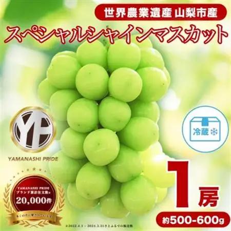 2026年発送 フルーツ王国山梨産厳選 シャインマスカット 1房(約500-600g)【配送不可地域：離島】【1501766】