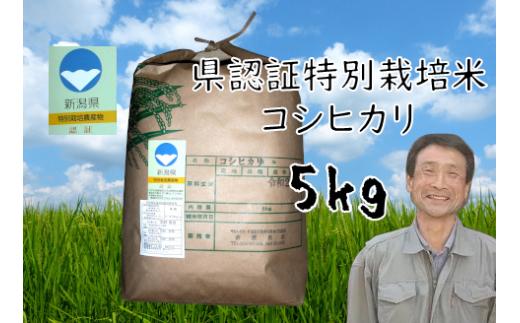 【令和6年産】特別栽培米 コシヒカリ 5kg 新潟県認証 1G01016